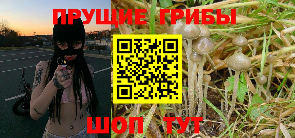 Бугуруслан  Псилоцибиновые грибы Magic Shrooms  Вход с VPN 